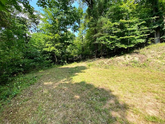 Image for Absolute Real Estate Auction