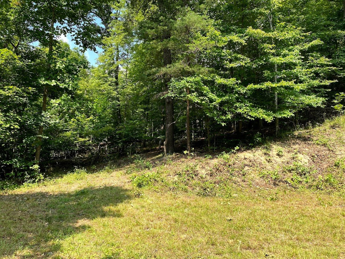 Image for Absolute Real Estate Auction