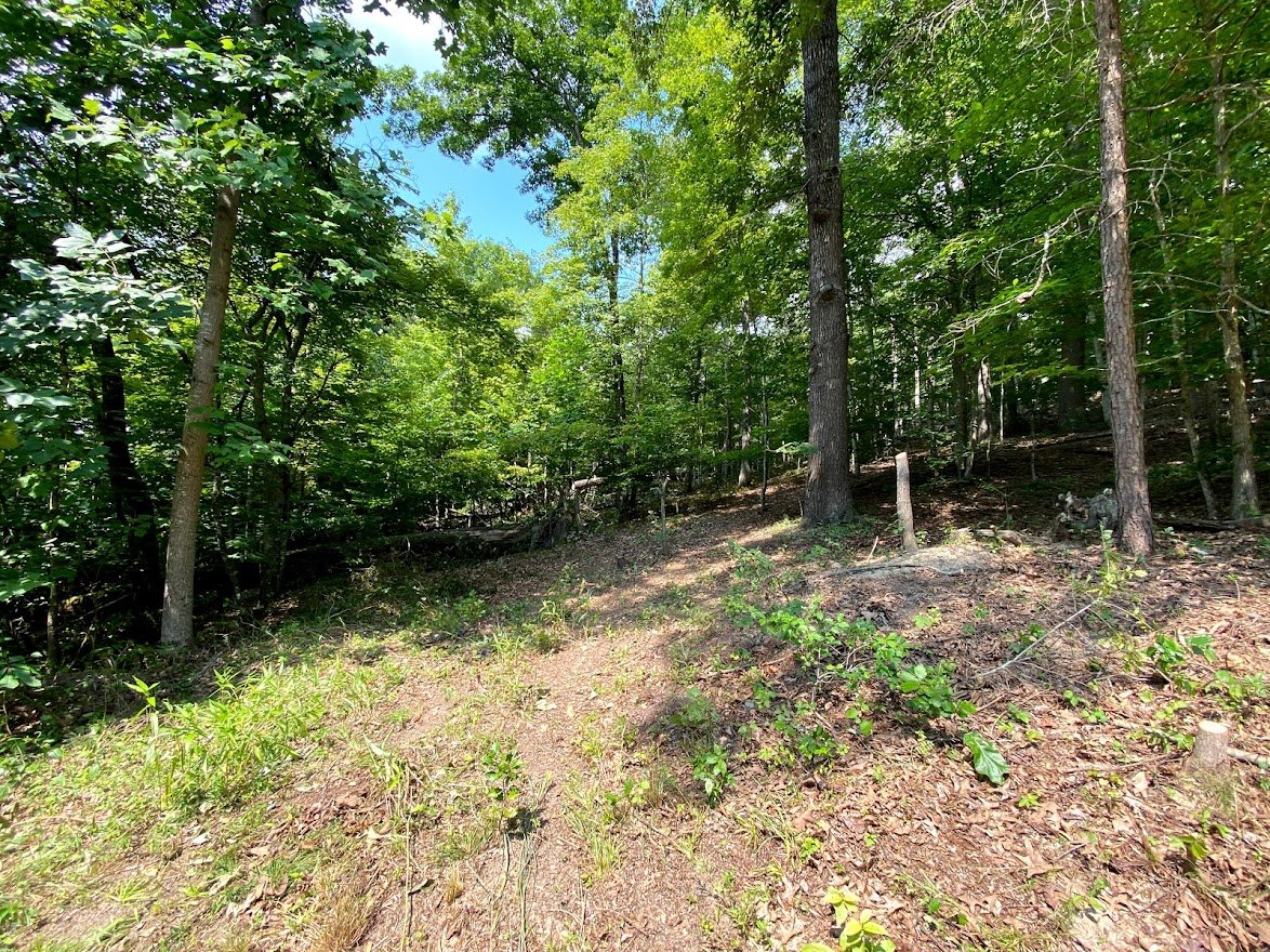 Image for Absolute Real Estate Auction