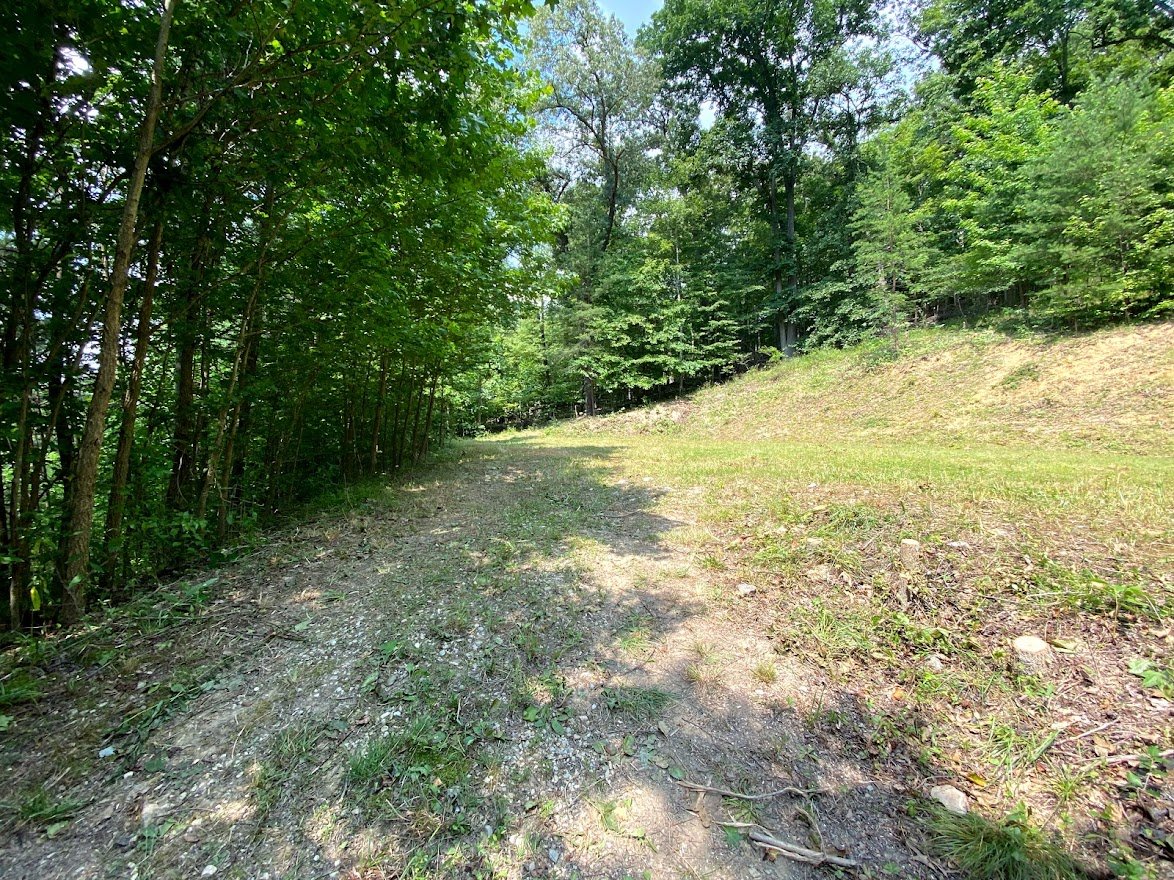 Image for Absolute Real Estate Auction