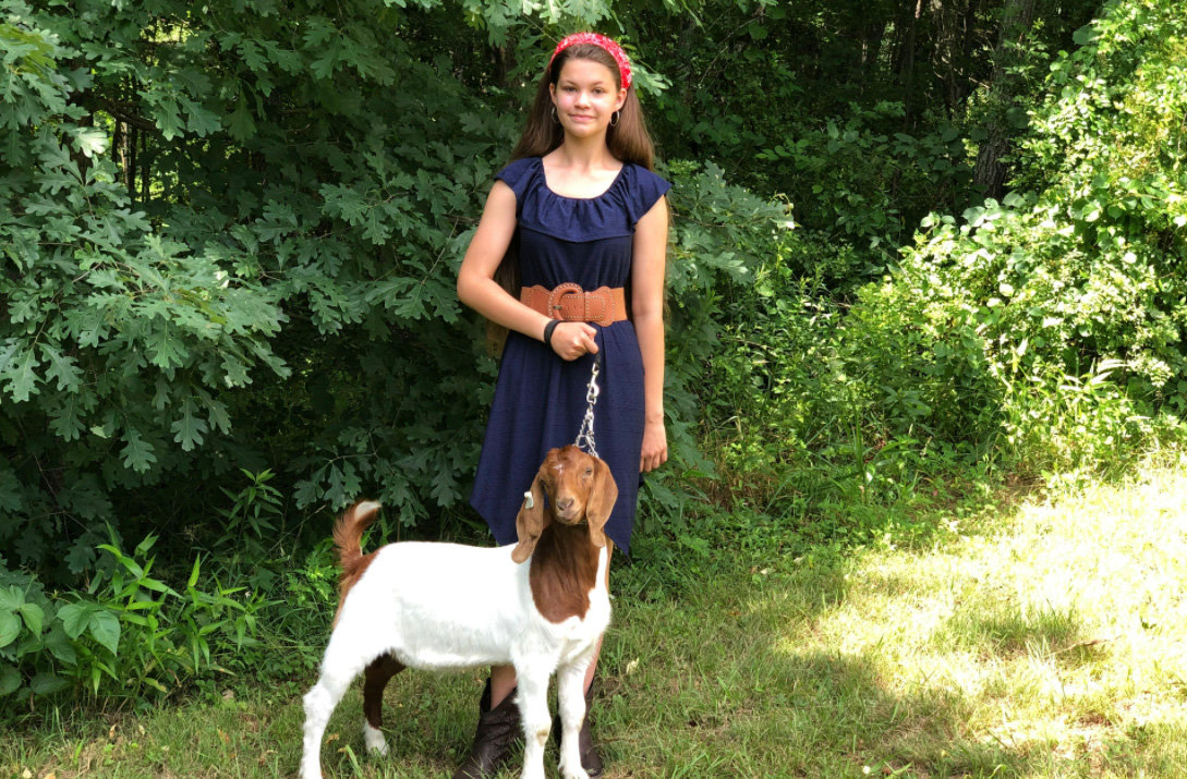 Image for 7th Annual Monongalia County Fair 4-H & FFA Youth Livestock Auction