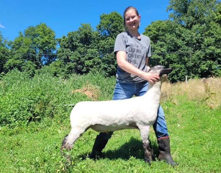 Image for 7th Annual Monongalia County Fair 4-H & FFA Youth Livestock Auction