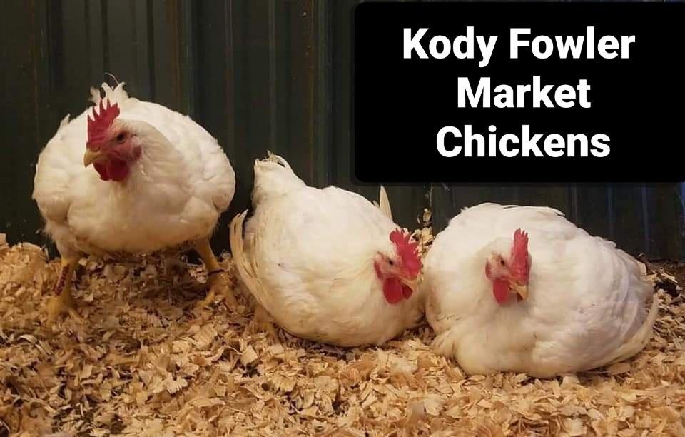 Image for 7th Annual Monongalia County Fair 4-H & FFA Youth Livestock Auction