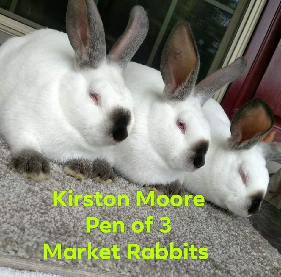 Image for 7th Annual Monongalia County Fair 4-H & FFA Youth Livestock Auction