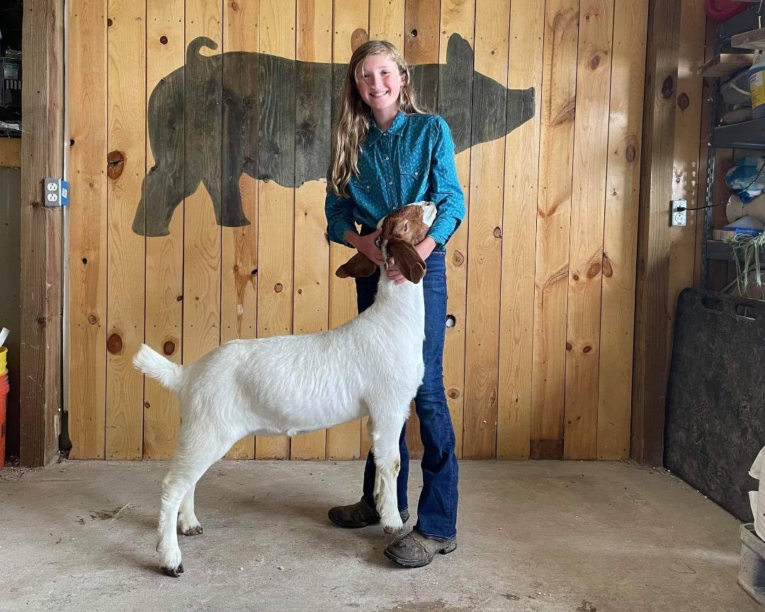 Image for 7th Annual Monongalia County Fair 4-H & FFA Youth Livestock Auction