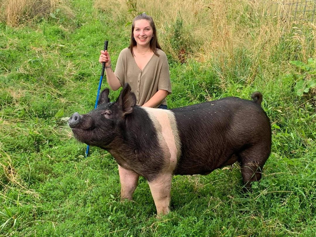 Image for 7th Annual Monongalia County Fair 4-H & FFA Youth Livestock Auction