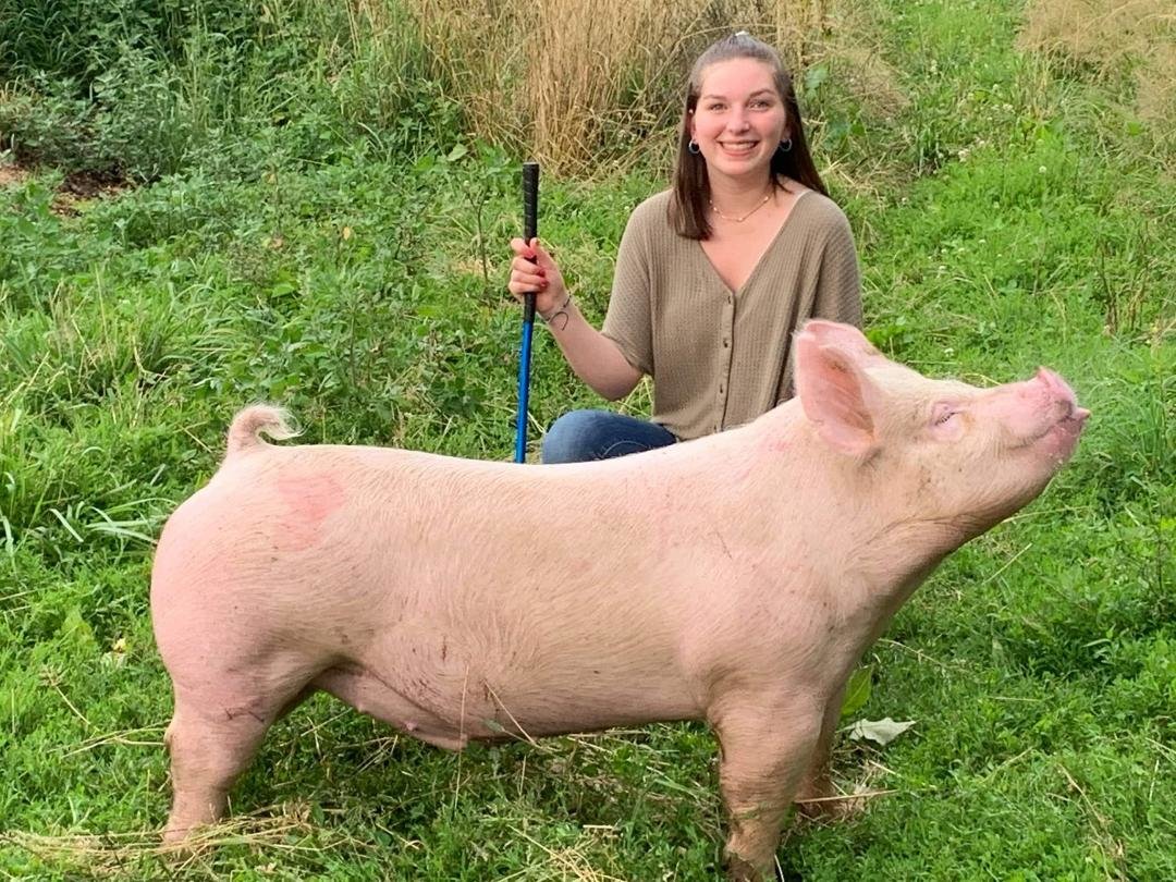 Image for 7th Annual Monongalia County Fair 4-H & FFA Youth Livestock Auction