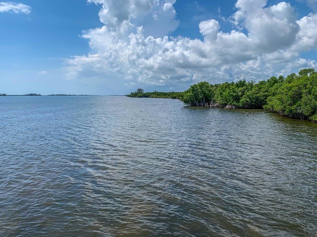 Image for Absolute Auction of 8.5+/- Residential Acres in St. Lucie Village