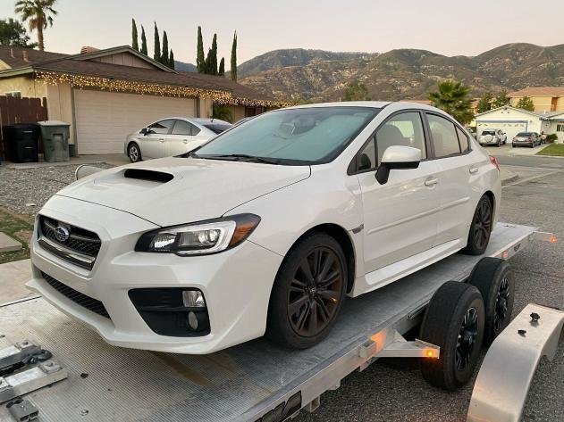 Image for Bid Fast And Last August Government 2021