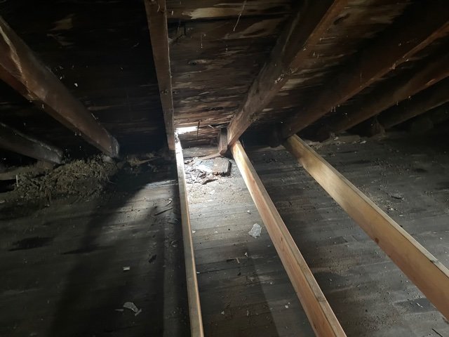 Image for 196 HUGHES AVE  BUFFALO, NY 14208