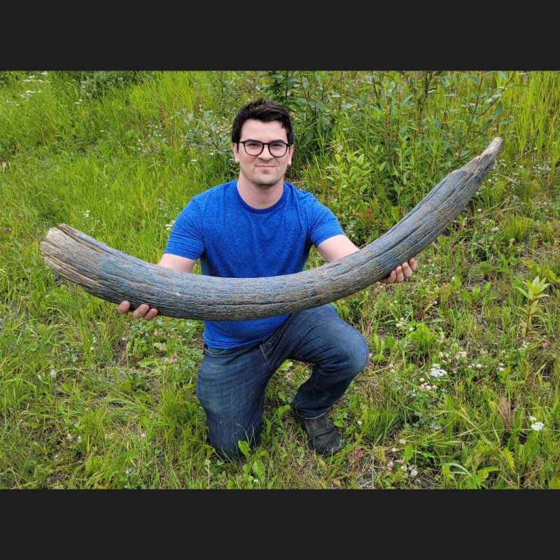 Image for Alaskana, Artifacts & Collectibles Day 1 Live-Online Auction