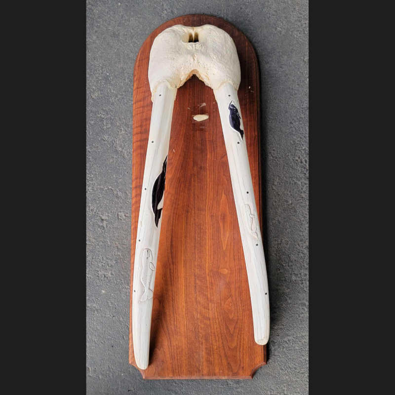 Image for Alaskana, Artifacts & Collectibles Day 1 Live-Online Auction