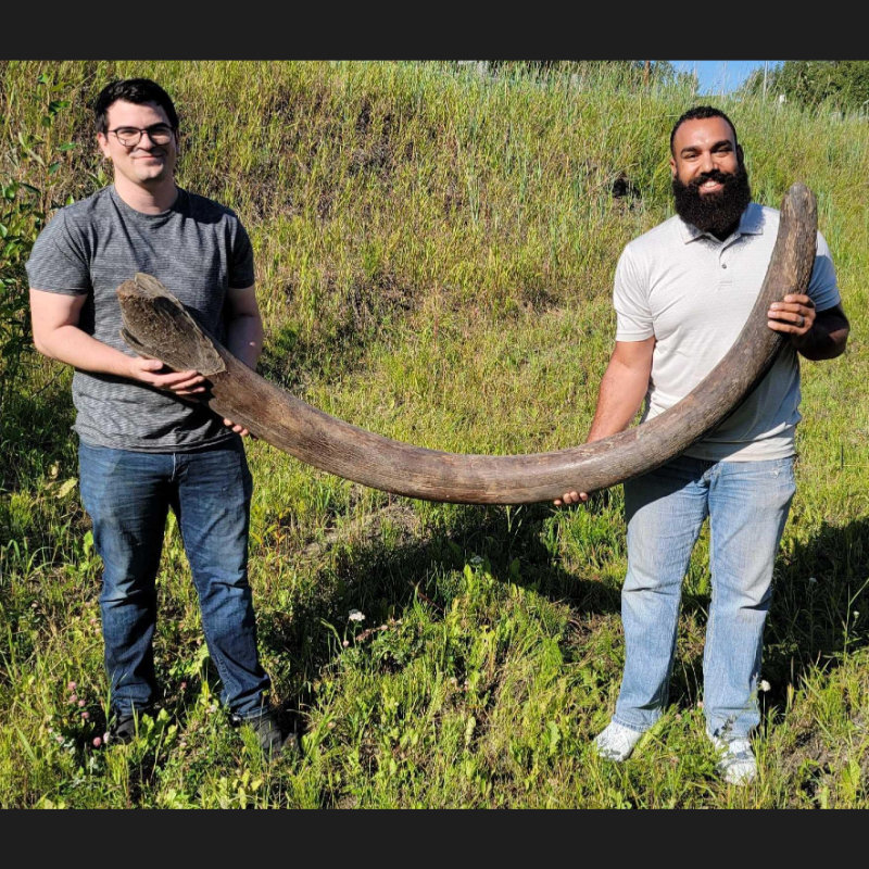 Image for Alaskana, Artifacts & Collectibles Day 1 Live-Online Auction