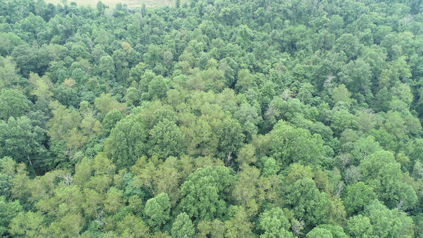 Image for SOLD $69,300 - Well-Maintained 3-Bedroom on 9.75 Acres