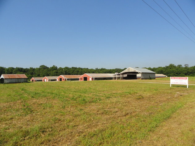 Image for Real Estate Auction - Poultry Farm