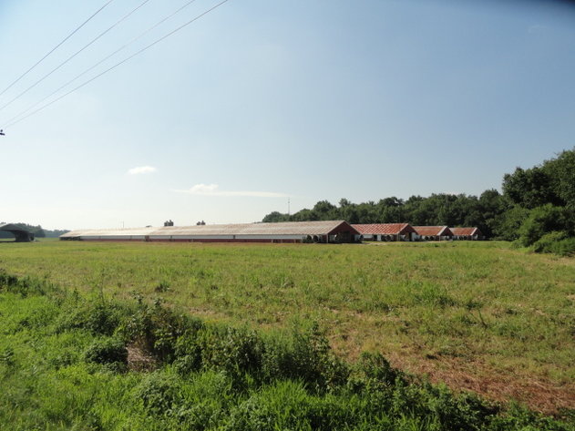 Image for Real Estate Auction - Poultry Farm