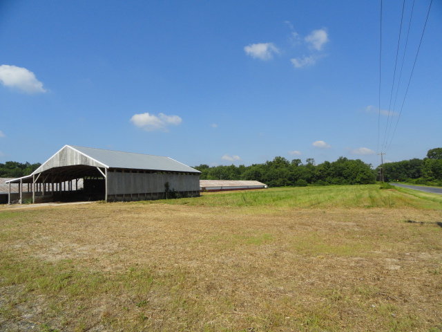Image for Real Estate Auction - Poultry Farm