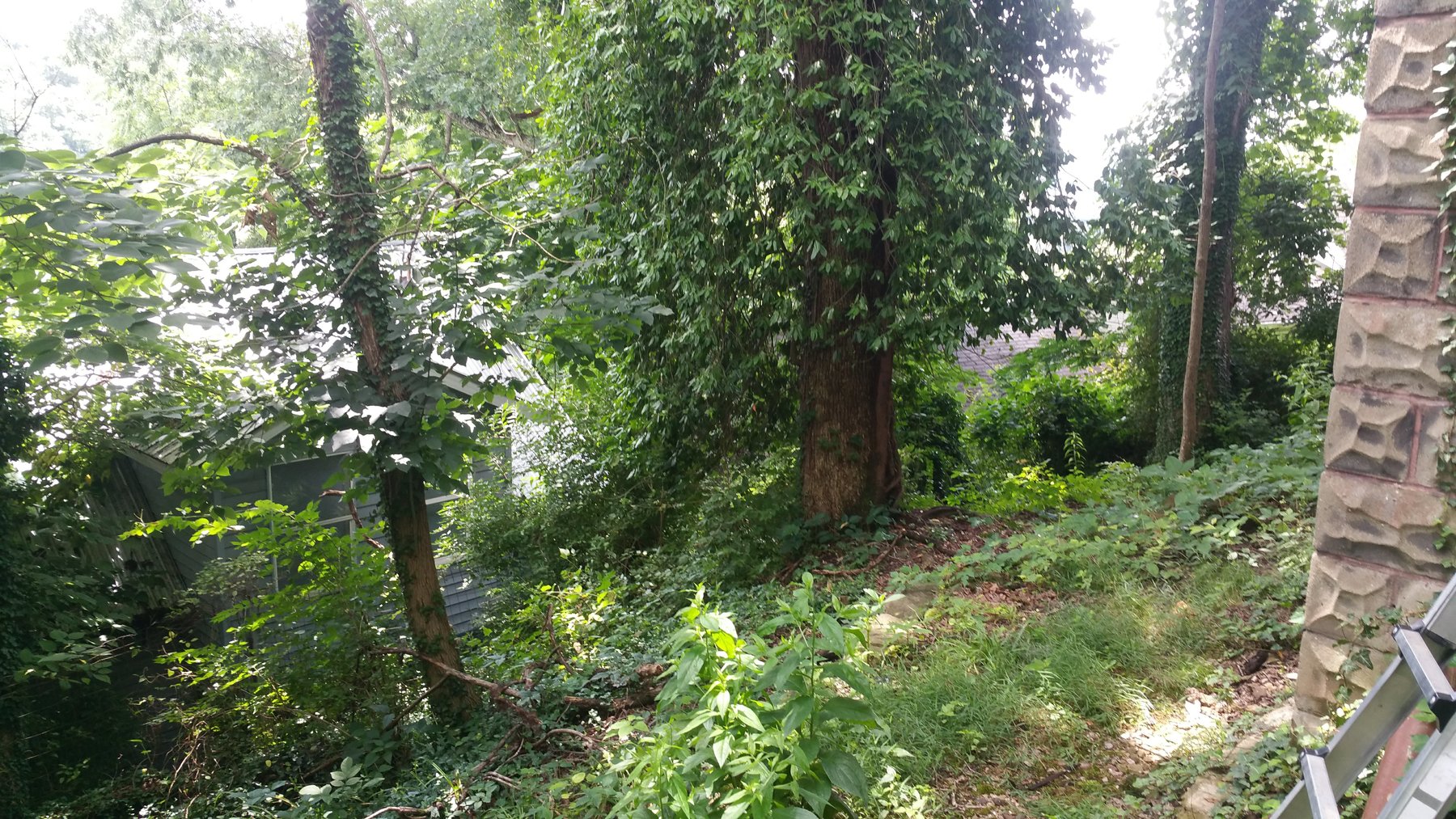 Image for SOLD $14,355 - 3-Bedroom Overlooking Golf Course Selling to the Highest Bidder