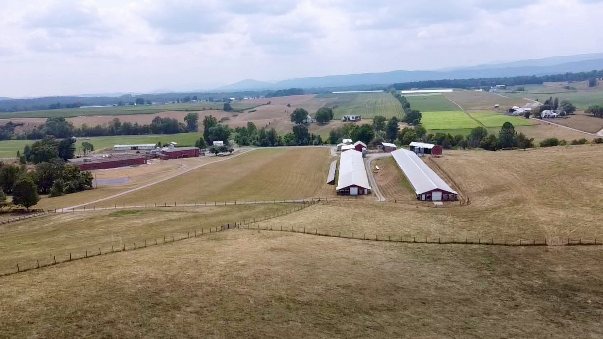 Image for 47.9 +/- Acre Farm w/2 Poultry Houses, Multiple Barns/Outbuildings, 4 BR/1 BR Home, 2 Wells, Fencing & More!!--Rockingham County, VA