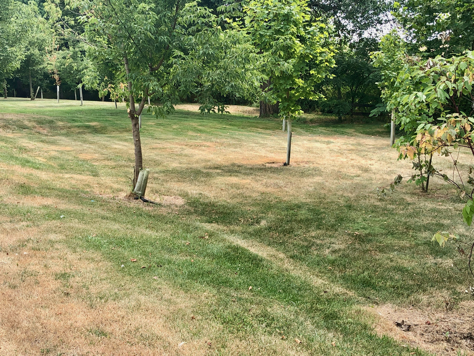 Image for 47.9 +/- Acre Farm w/2 Poultry Houses, Multiple Barns/Outbuildings, 4 BR/1 BR Home, 2 Wells, Fencing & More!!--Rockingham County, VA