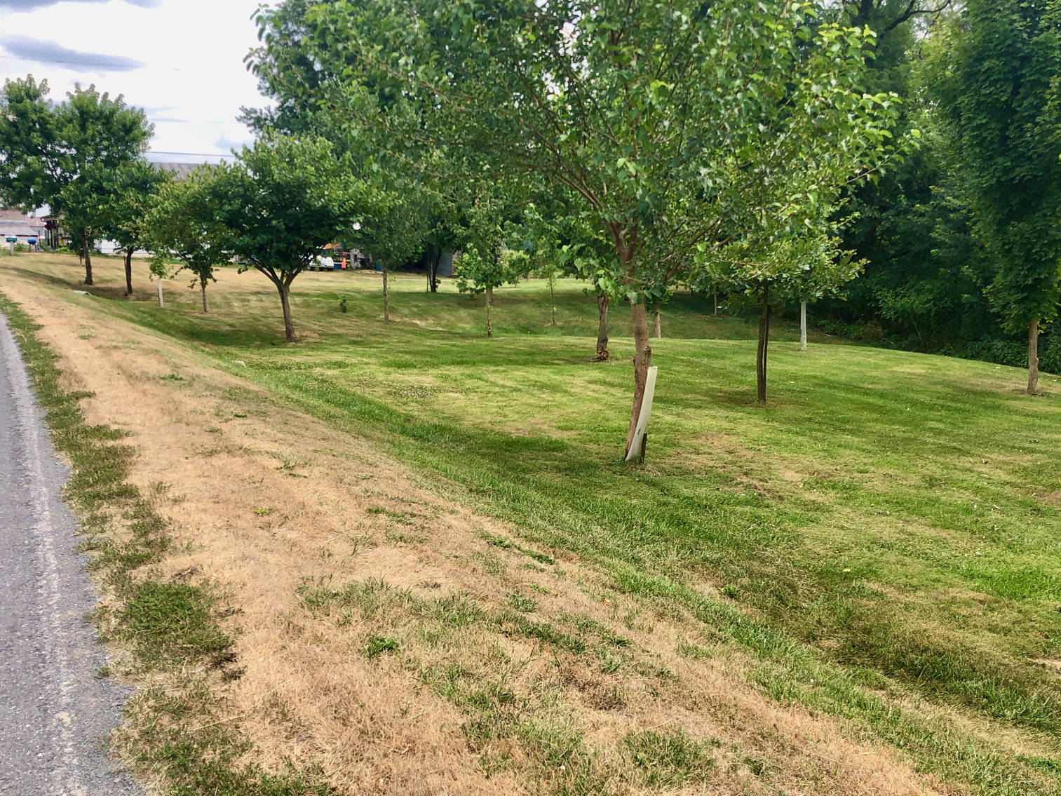 Image for 47.9 +/- Acre Farm w/2 Poultry Houses, Multiple Barns/Outbuildings, 4 BR/1 BR Home, 2 Wells, Fencing & More!!--Rockingham County, VA