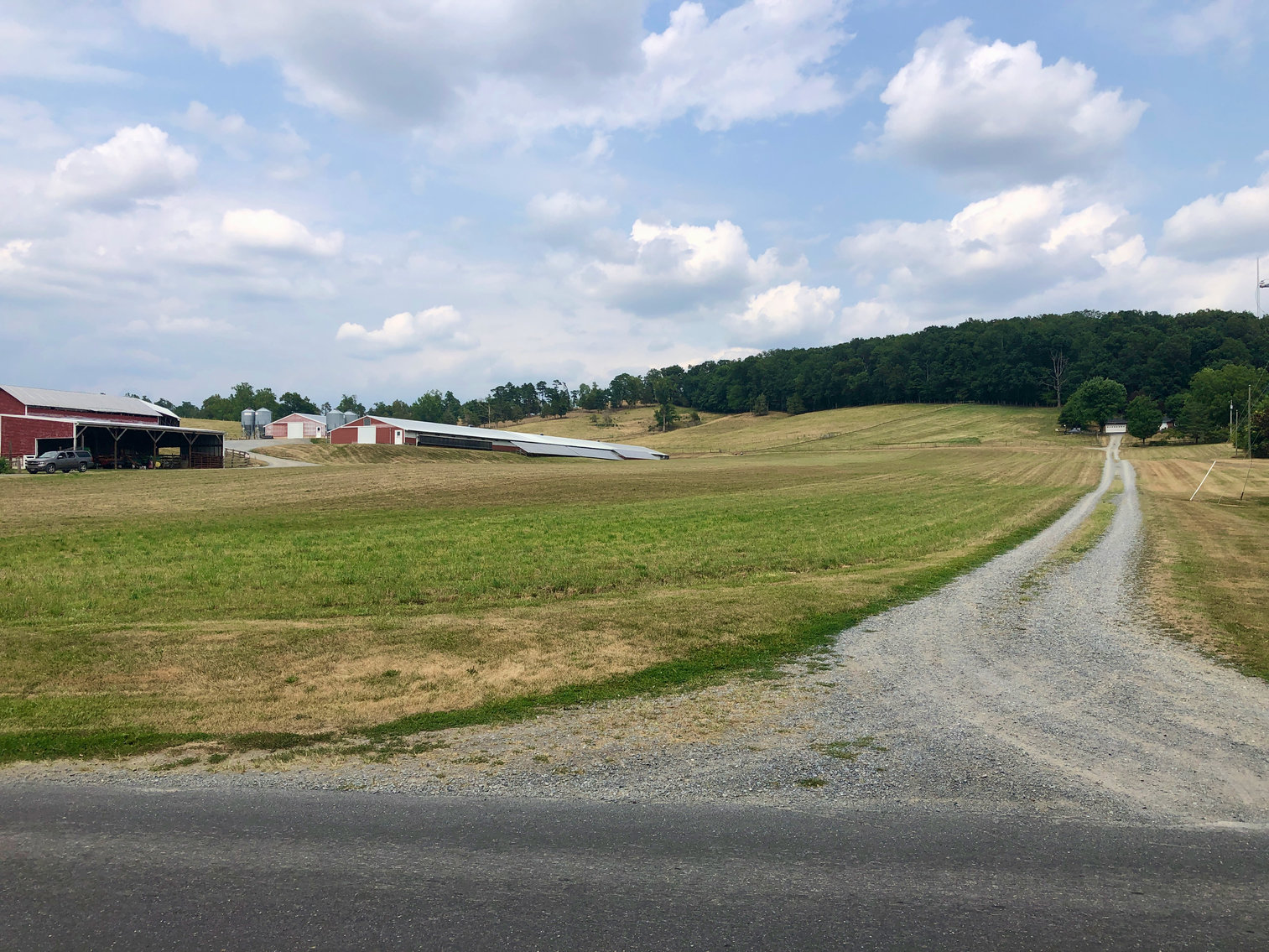 Image for 47.9 +/- Acre Farm w/2 Poultry Houses, Multiple Barns/Outbuildings, 4 BR/1 BR Home, 2 Wells, Fencing & More!!--Rockingham County, VA