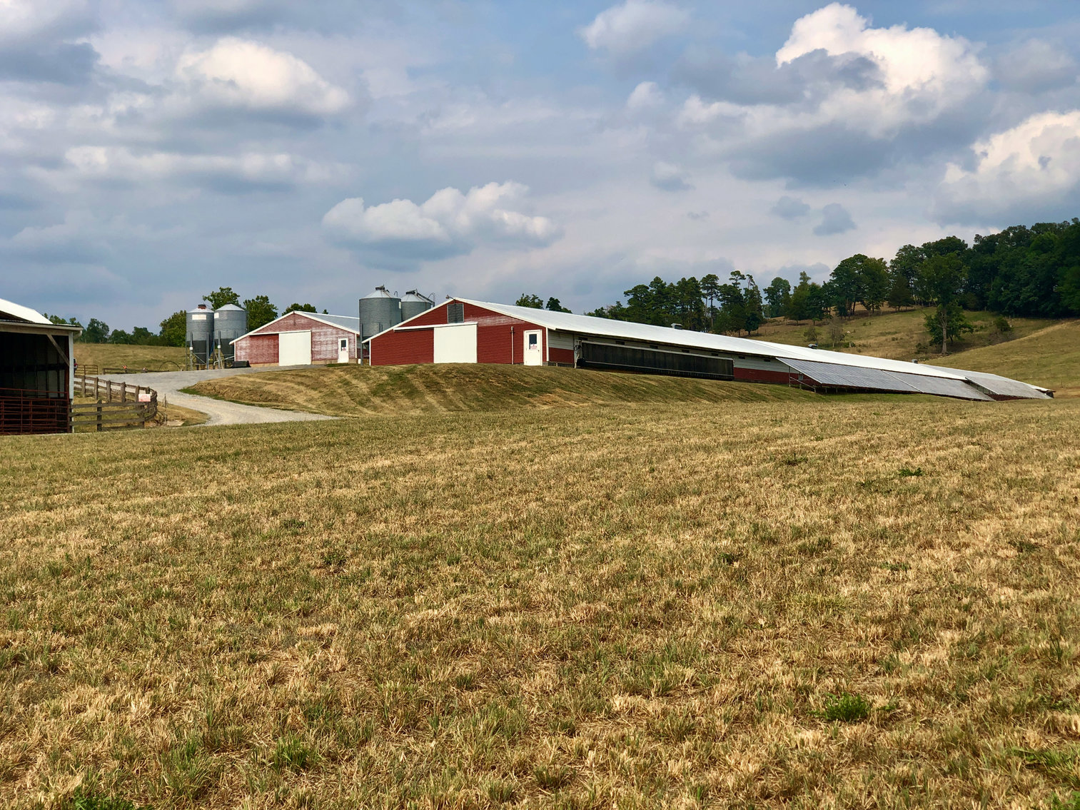 Image for 47.9 +/- Acre Farm w/2 Poultry Houses, Multiple Barns/Outbuildings, 4 BR/1 BR Home, 2 Wells, Fencing & More!!--Rockingham County, VA