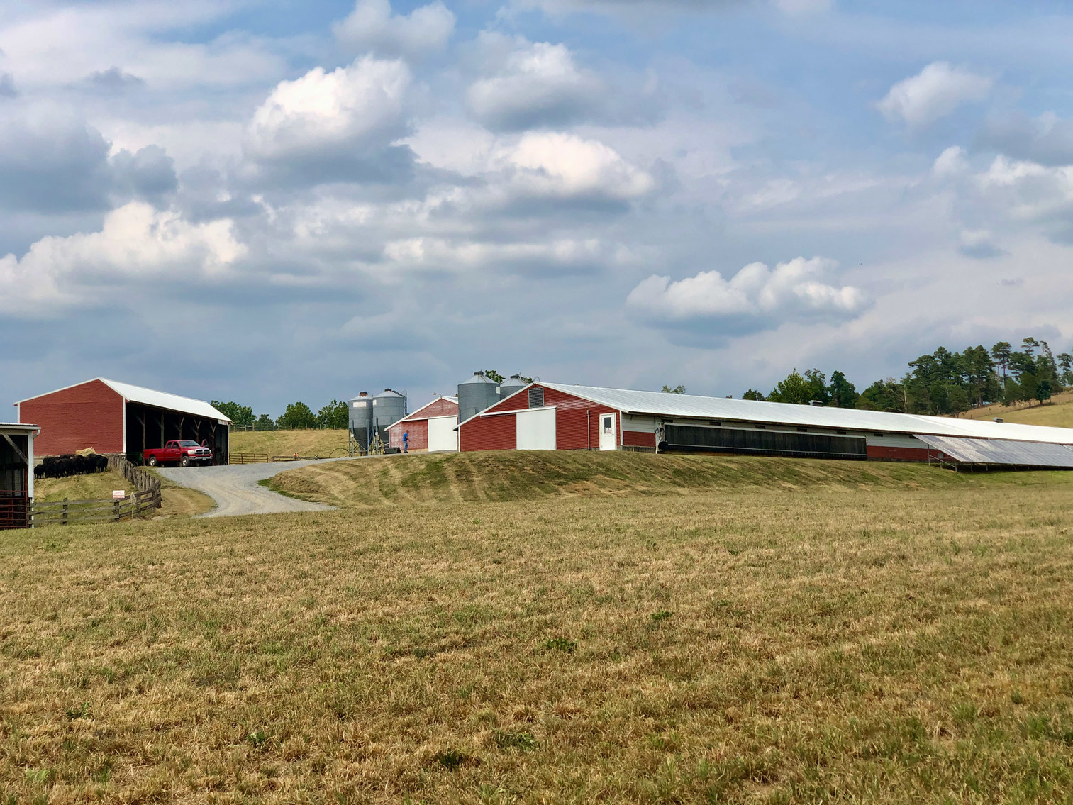 Image for 47.9 +/- Acre Farm w/2 Poultry Houses, Multiple Barns/Outbuildings, 4 BR/1 BR Home, 2 Wells, Fencing & More!!--Rockingham County, VA