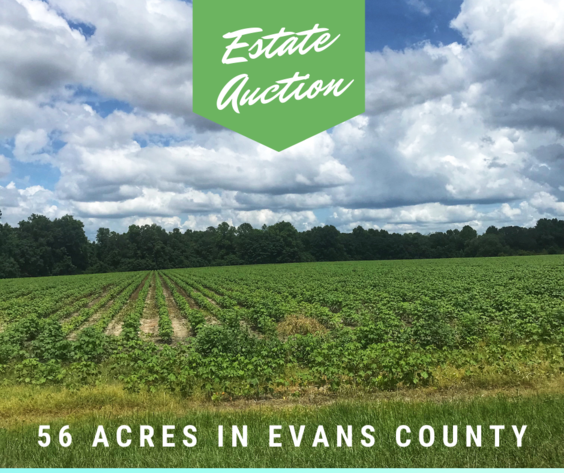 Image for LIVE AUCTION - Thursday, September 16th @ 7:00 P.M.