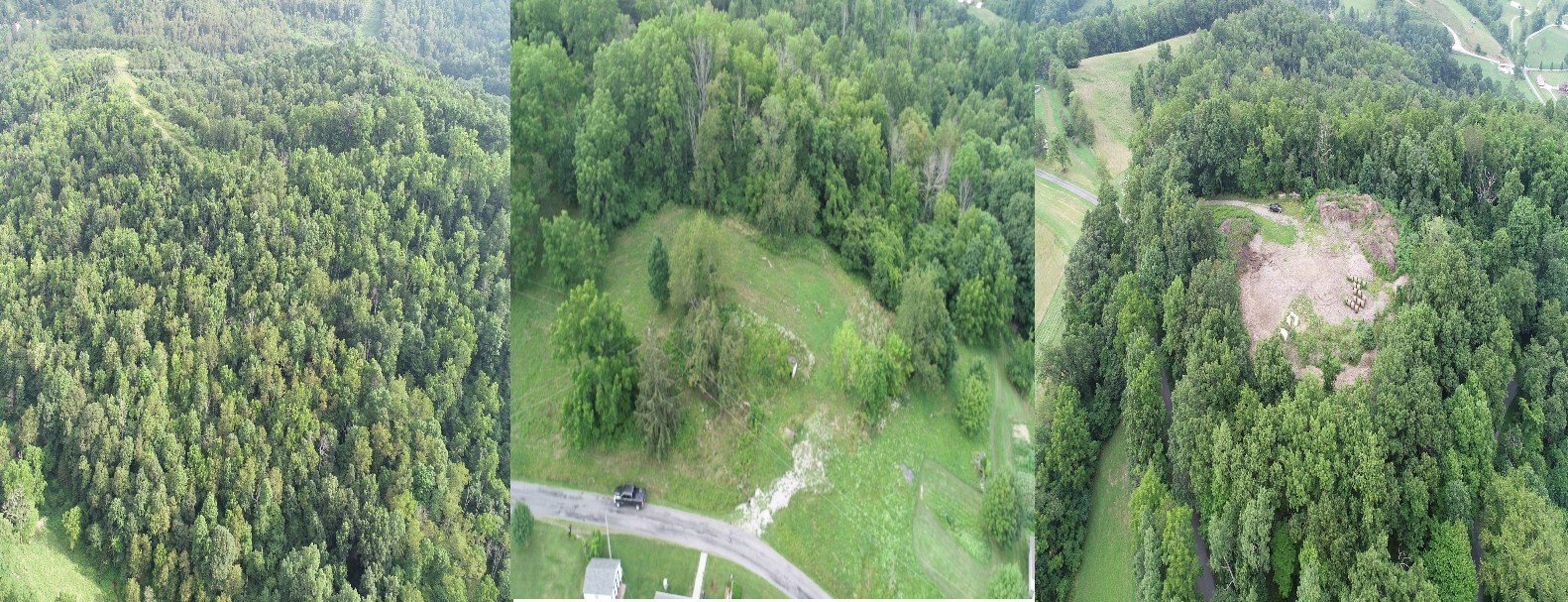 Image for SOLD $129,250 - 41 Acres in Greene County Offered in Parcels