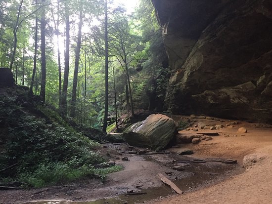 Image for Hocking Hills: Timber - Hunting - Recreation - Business Income Opportunity Oct. 19 ONLINE
