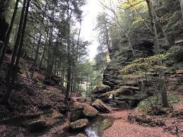 Image for Hocking Hills: Timber - Hunting - Recreation - Business Income Opportunity Oct. 19 ONLINE