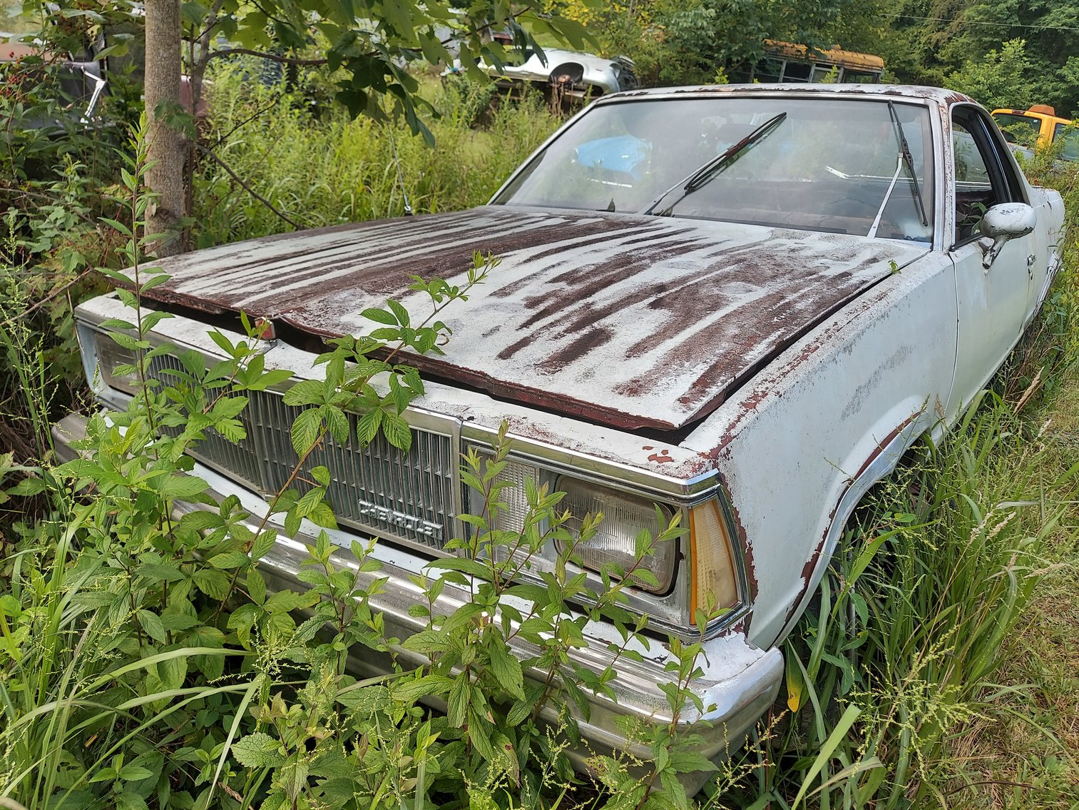 Clendenin, WV Auto Parts Auction