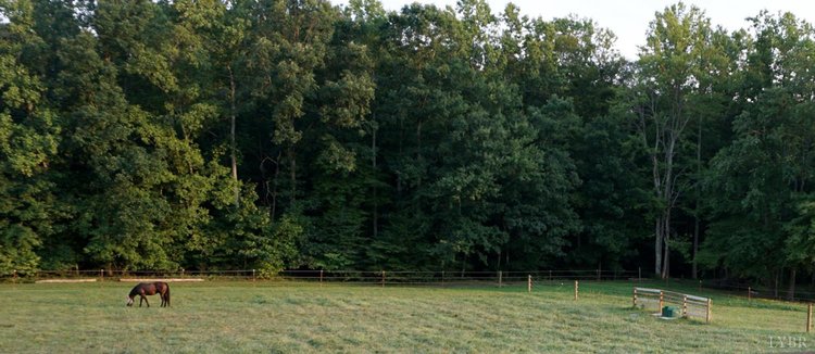 Image for 225  Cattle Ln,  Evington, VA  24550