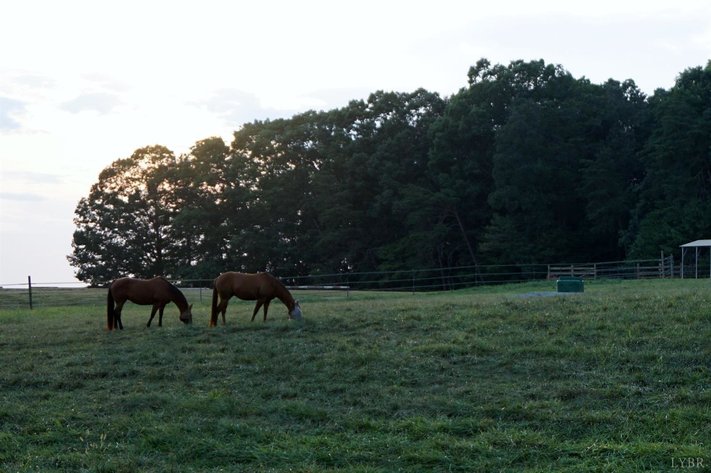 Image for 225  Cattle Ln,  Evington, VA  24550