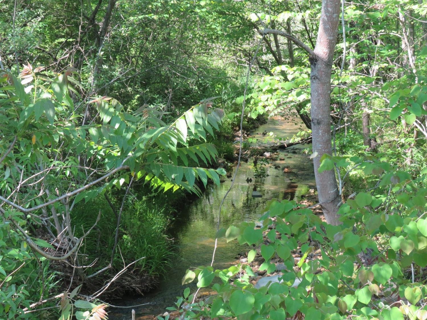 Image for Depot Rd,  Rustburg, VA  24588