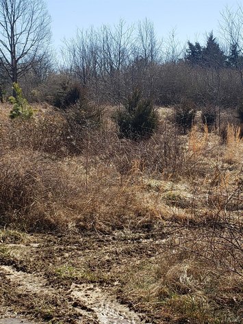 Image for Peartree Ln,  Nathalie, VA  24577