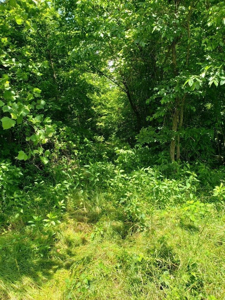 Image for Leda Rd,  Halifax, VA  24588