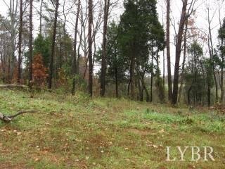 Image for 57  Sandy Ct,  Gretna, VA  24557