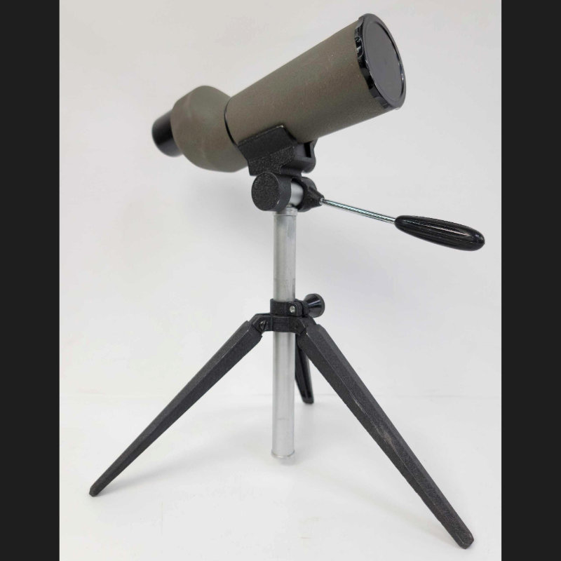 Image for August 2021 Curiosities Online Auction