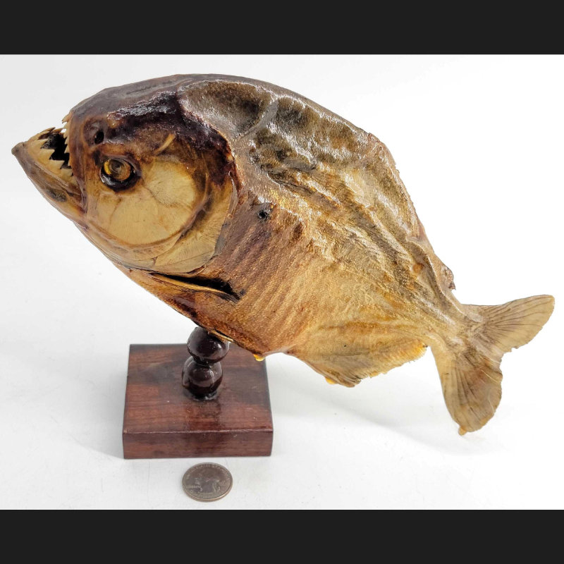 Image for August 2021 Curiosities Online Auction