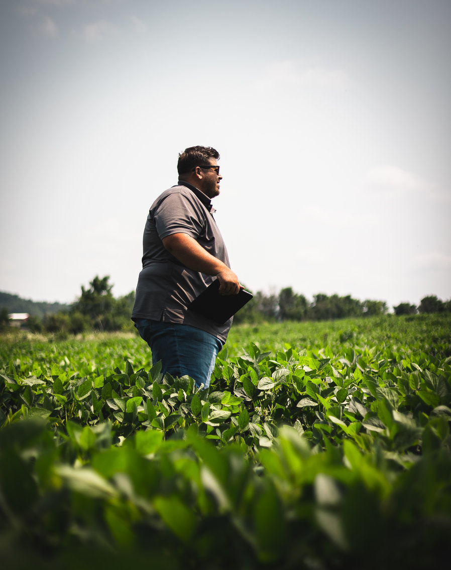 Image for Beaver Creek