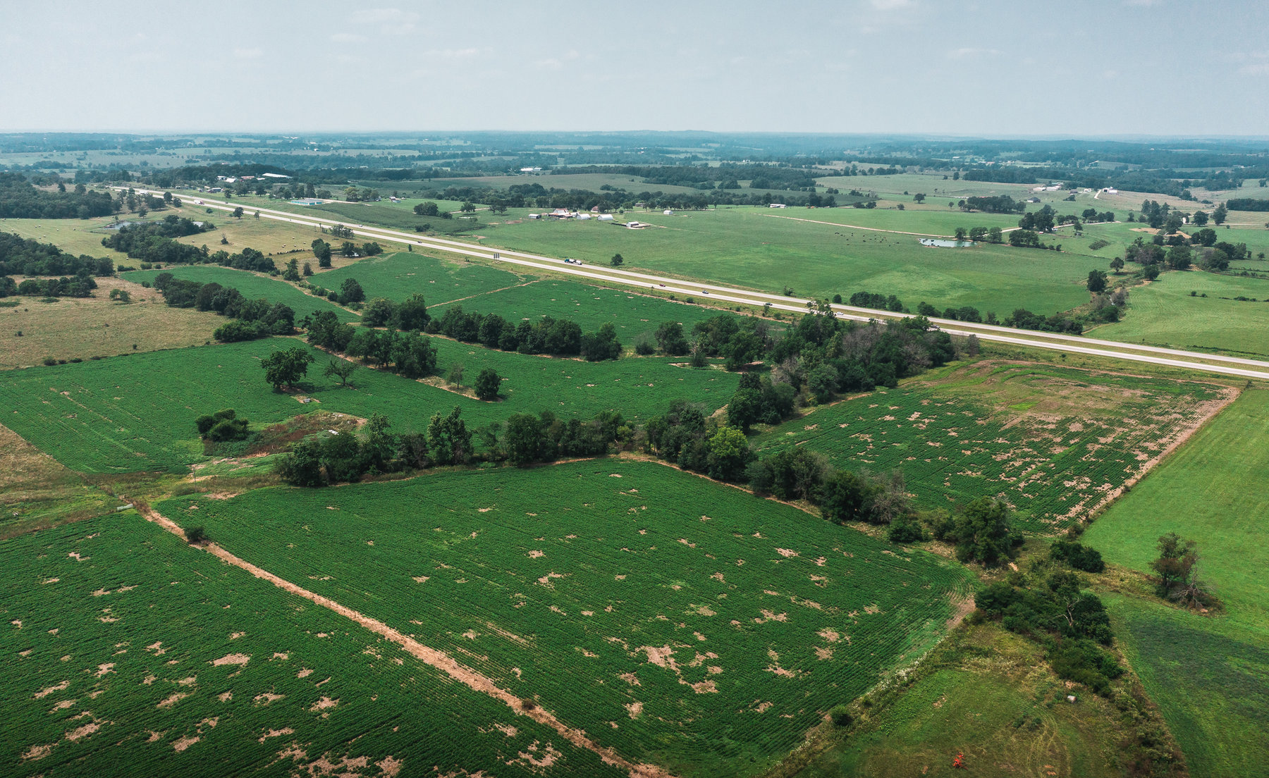 Image for Beaver Creek