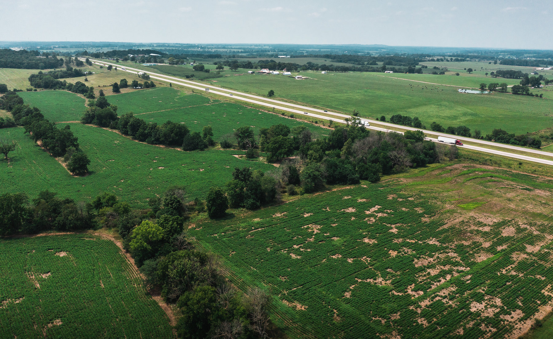 Image for Beaver Creek