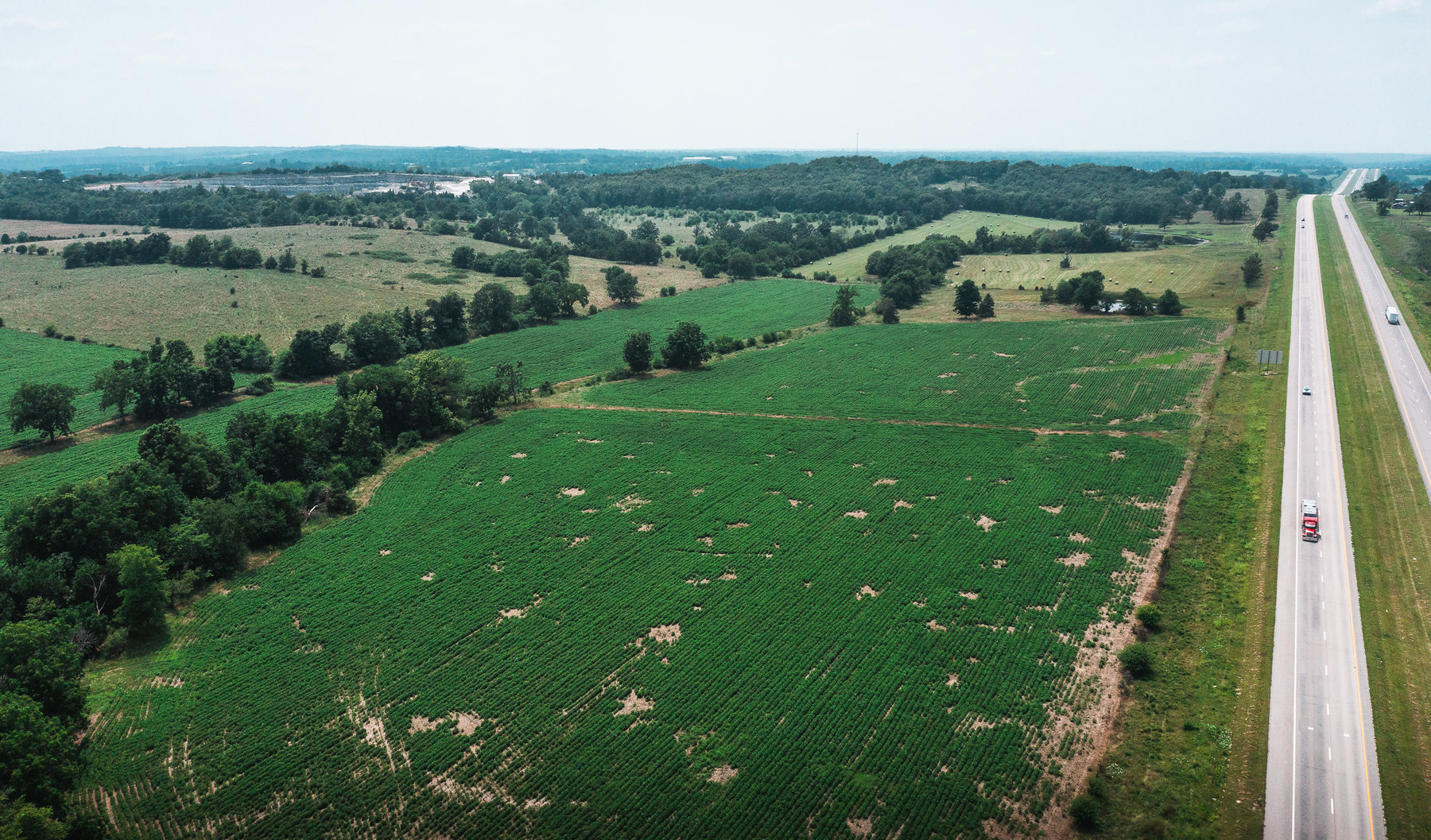 Image for Beaver Creek