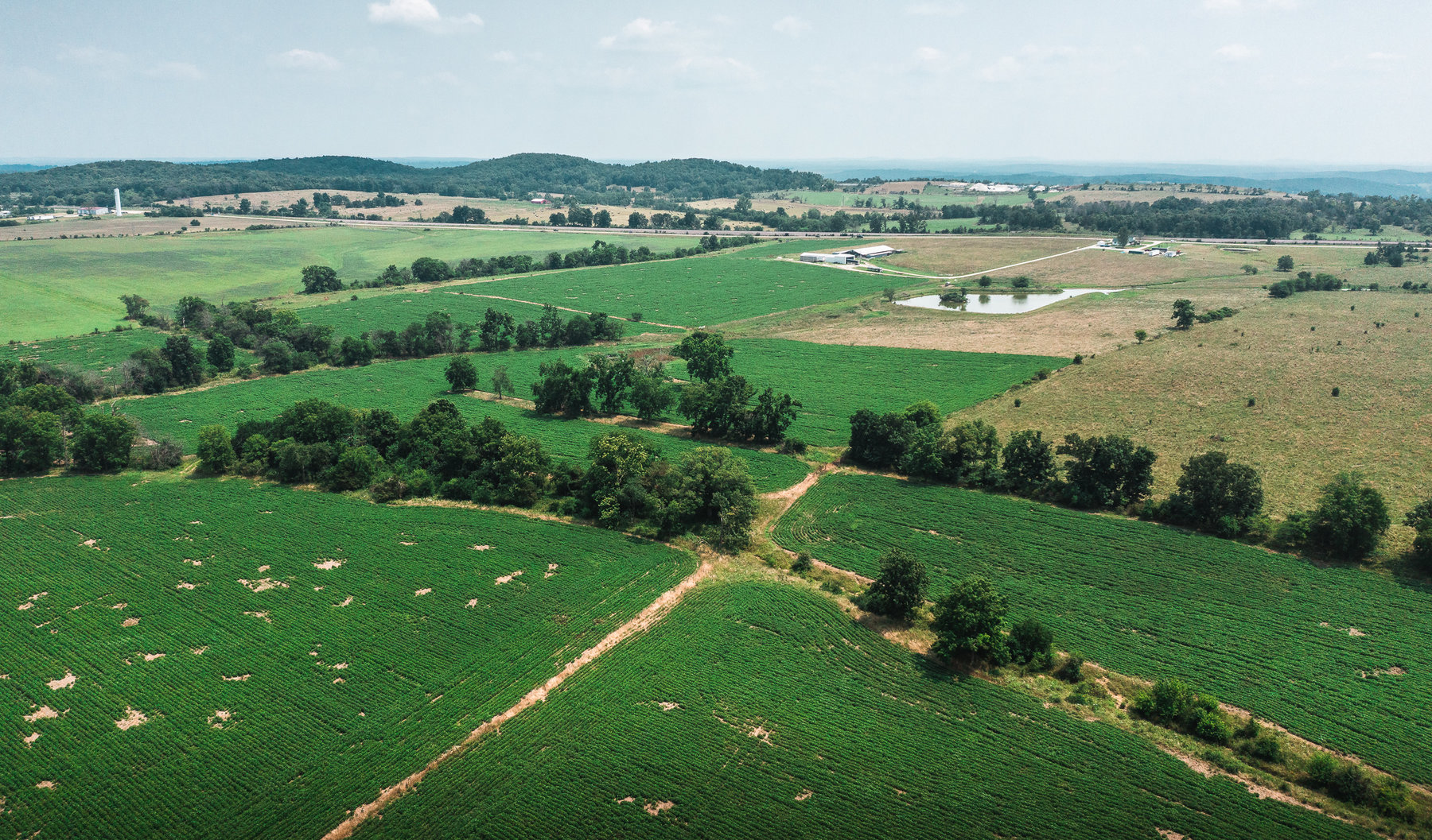 Image for Beaver Creek