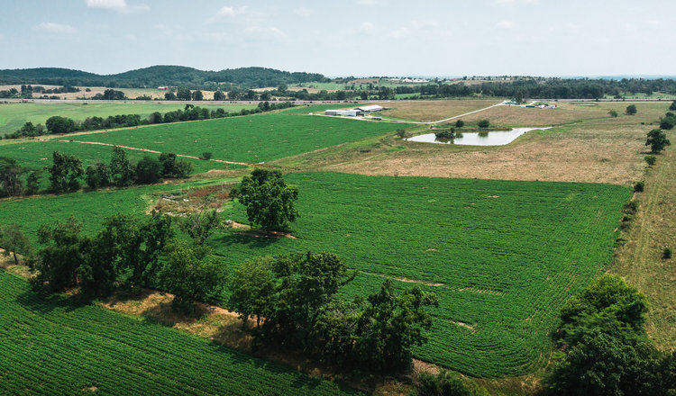 Image for Beaver Creek