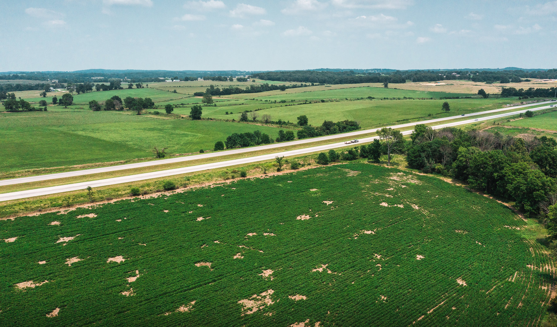 Image for Beaver Creek