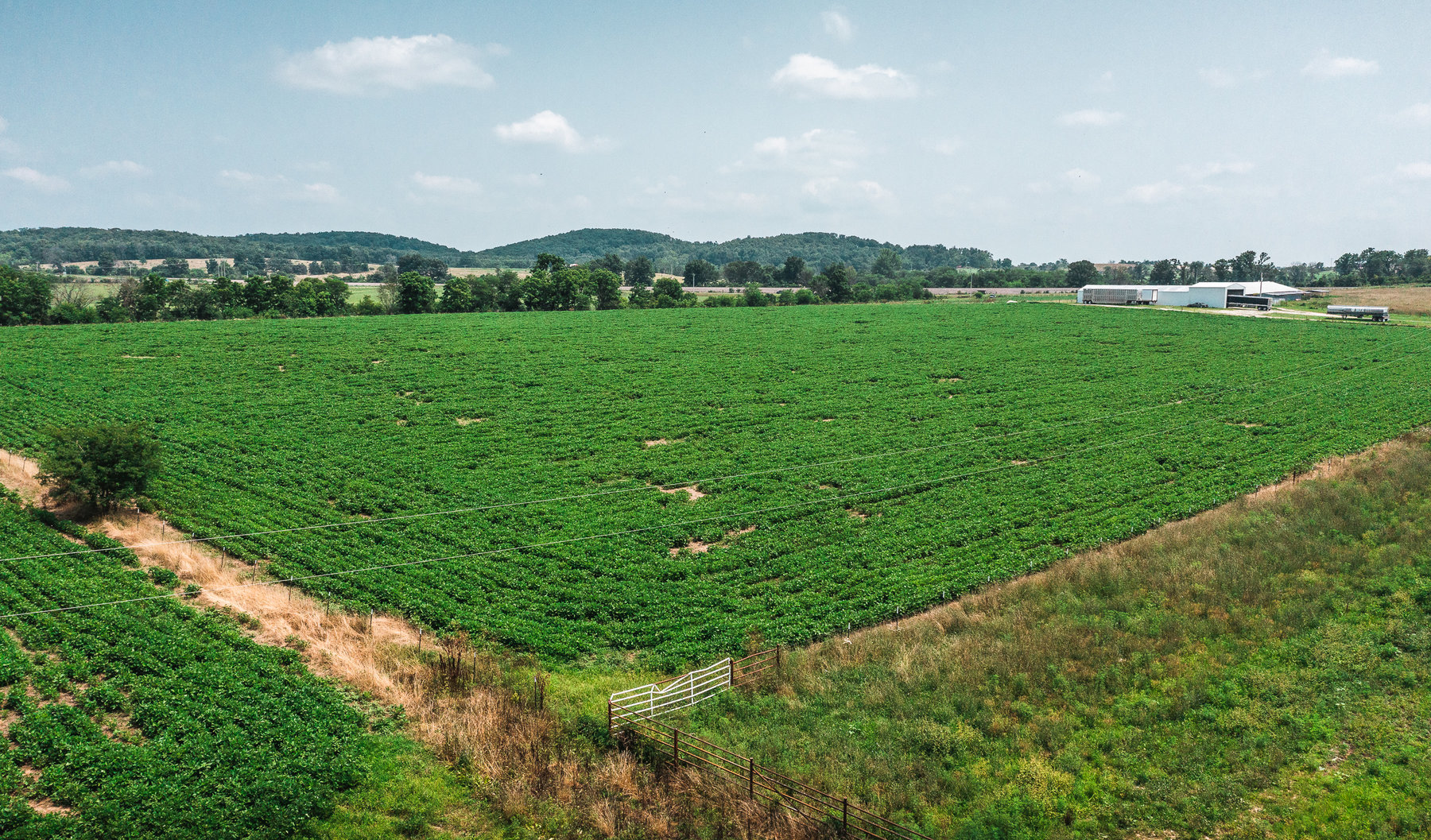 Image for Beaver Creek