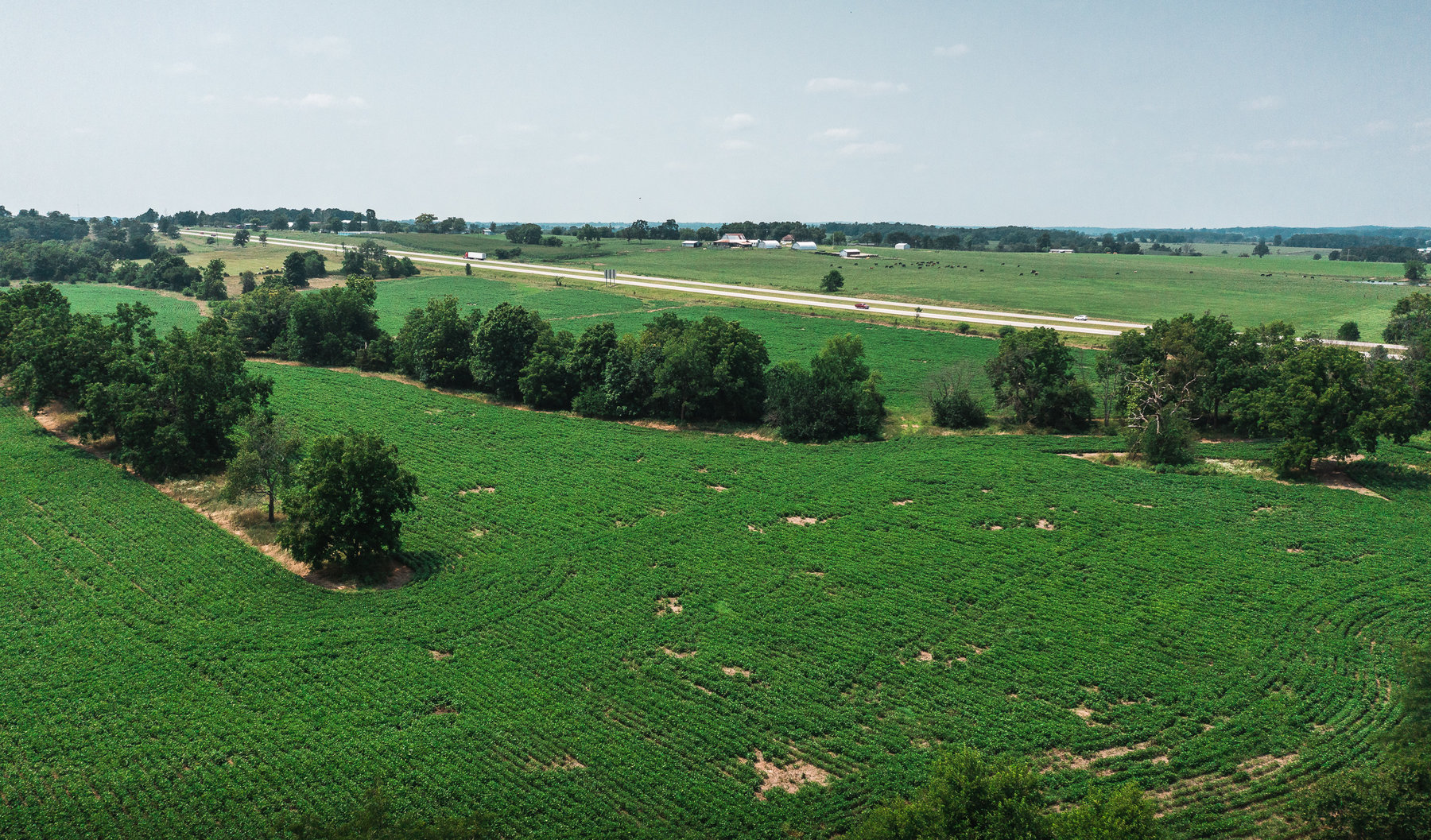 Image for Beaver Creek